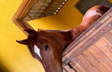 Casa de Campo Ibiúna Fazenda Vale Dourado - Photo 30