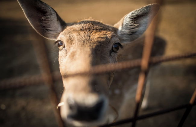 Agriturismo Beatilla - Foto 74