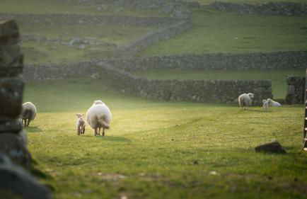 Gelli-Gron - Photo 32