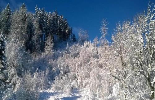 Detached Holiday Residence in the Wonderfully Beautiful Harz - Foto 74