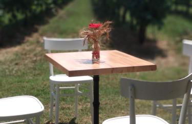 Agriturismo Vitae - Foto 15