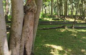 Bel appartement F2 entièrement rénové - Foto 36