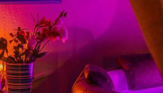 Sweet Home Lilli - Foto 4