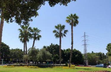 Teatinos Pool - Foto 33