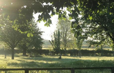 Four Seasons Cottage - in the Cotswolds - Foto 5