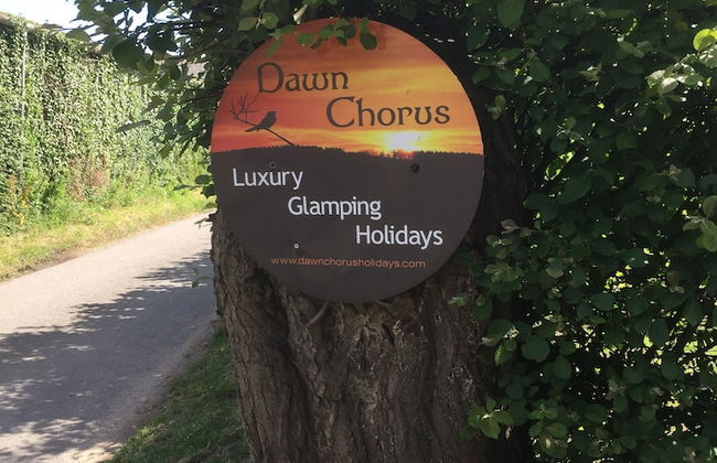 Dawn Chorus Holidays - Foto 63