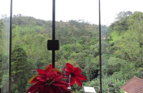 Chalé Aconchego Visconde de Mauá - Foto 17