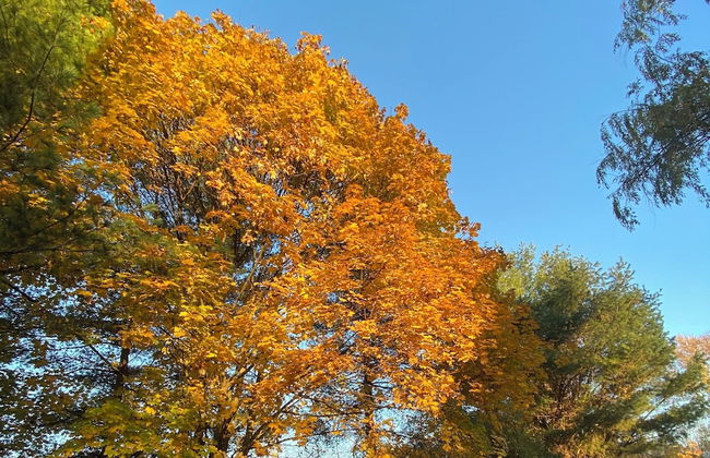 Roadhaven 1830 - Foto 48