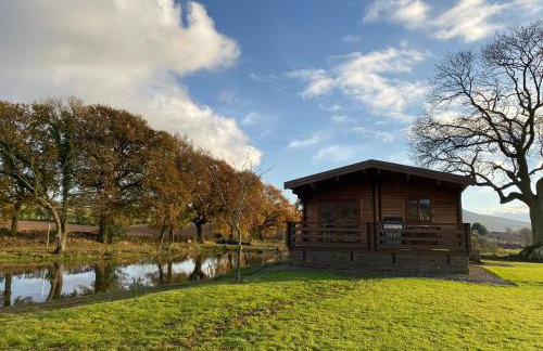 RedWood Lodge - Photo 37