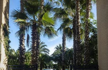 Dorasal Solo Familias Serviplaya - Foto 39