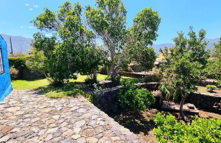 La Higuerita - Foto 14