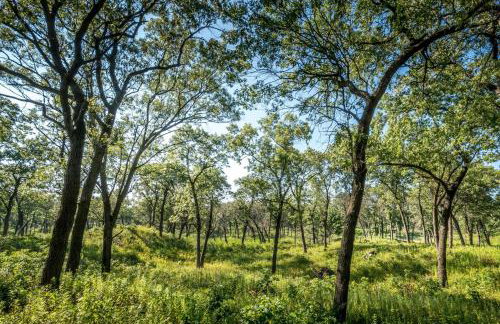 Secluded Fenced Cottage W Dune Top Hot Tub Near Hiking Dog Friendly - Foto 31
