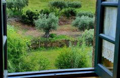 Quinta do Chao D'Ordem - Foto 10