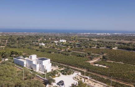 TD Tenuta Donna Madia Sea View Pool Over Vineyard - Foto 98
