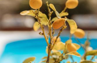 Kis Residence - Adults Only - Foto 29