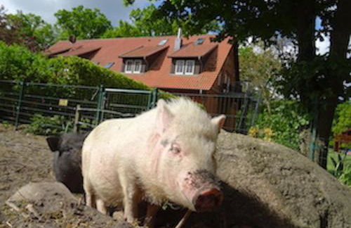 Ramakers Hof - Foto 13