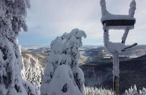 Family Theermann - Foto 6