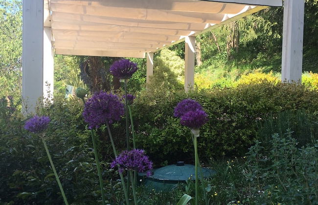 Euganean Hills Apartment - Foto 9