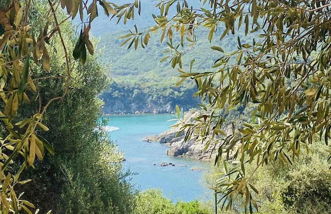 ''Mary's House'' Entire residence Olympiada Halkidiki Near to See 200m! - Foto 45