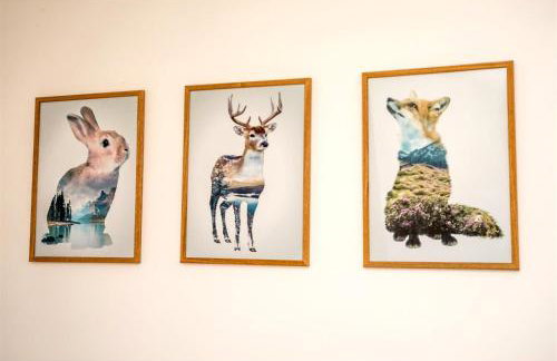 Apartman Hubertus 5* - Photo 18