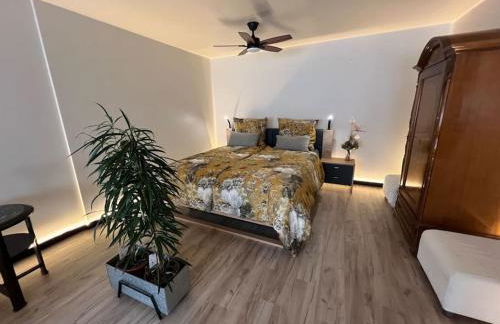 Budahome im Schwarzwald - Foto 10