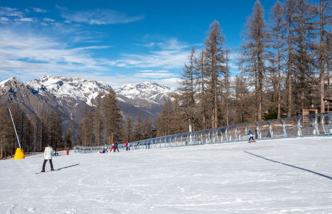 Jouvenceaux - Photo 39