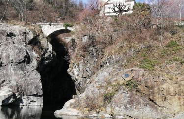 Panorama sul lago - Photo 15