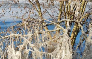Ferienwohnung - Foto 37