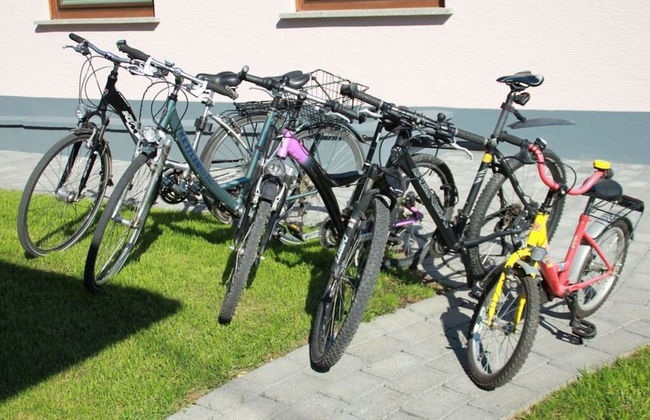 Holiday Home Moselle Valley - Photo 21