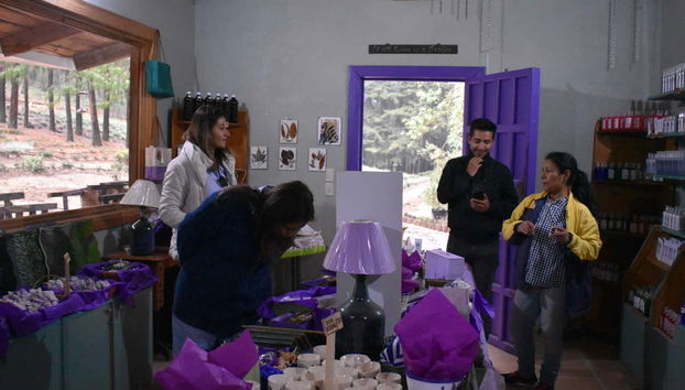 Il negozio di lavanda del ranch