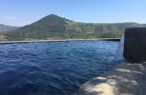 Quinta da Côrte - Foto 24