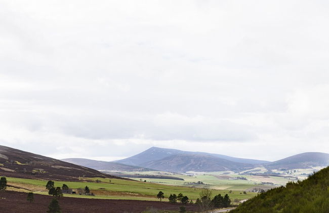 The Milking Sheds, Dufftown - Foto 33