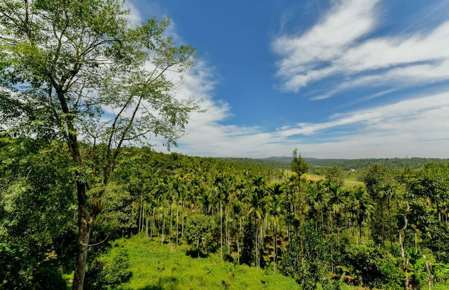 OYO 24016 Home Valley View 2BHK Sulthan Bathery - Foto 48