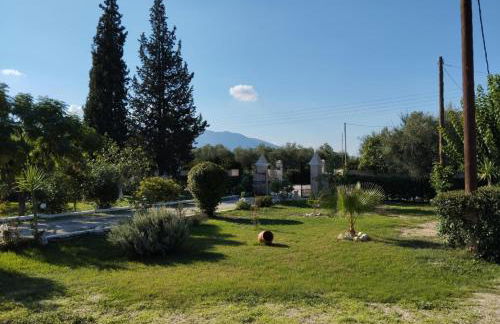 Jenny's House - Foto 9