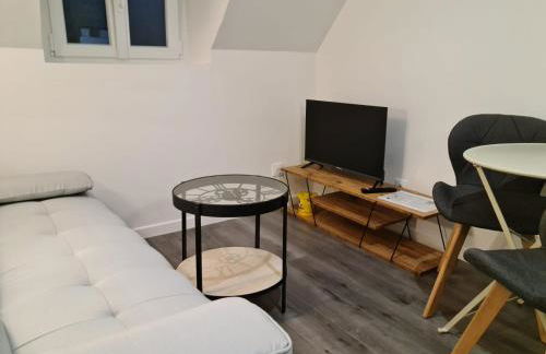 Beaugency-1 sur la route des Châteaux - Photo 7