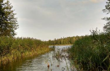 Dom Suwalszczyzna - Photo 23