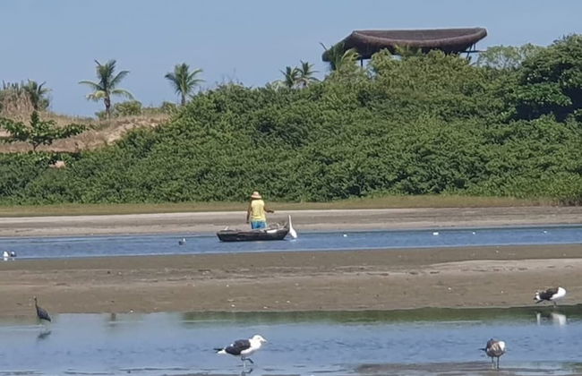 Andorinhas - Foto 68