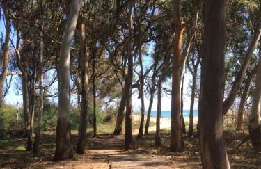 Beach House Vaccarizzo - Foto 12