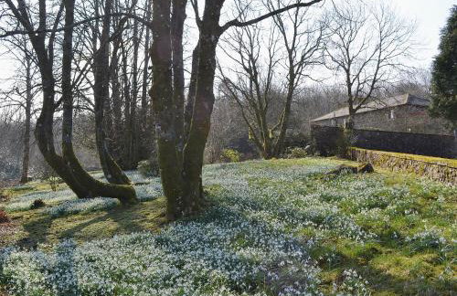 Laundry Cottage - Foto 18