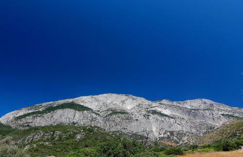 White Rock Apartments - Foto 46