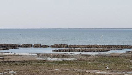 l'air marin 2 - Foto 3