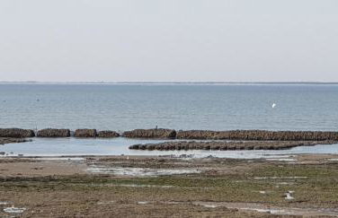 l'air marin 2 - Foto 3