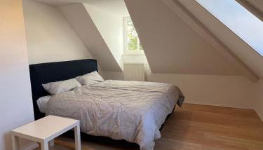 Apartment im Welfenpalais - Foto 2