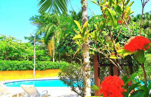 Chalé Pousada da Aldeia - Foto 29