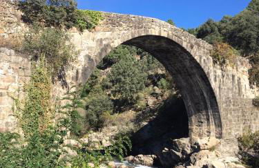 Lanzaroco, tu casa en La Vera - Foto 23