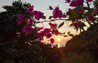 "la Palma"la casa del sole e del vento - Foto 8