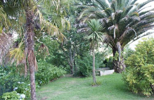 Quinta de Canhões - Foto 49