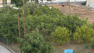 Argoliki Thalassa - Foto 3