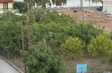 Argoliki Thalassa - Photo 3