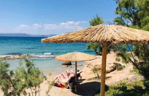 The Beachhouse Apartments - Foto 45